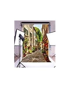 Laeacco 5x7FT Vinyl Backdrop Photography Background Narrow Street Old Town Italy European Characteristic Building Alley Bonsai Flowers and Green Vine Scenery Photo Portrait Backdrop Photo Studio Prop