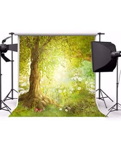 Laeacco 5x5ft Fairy Tale Forest Fantasy Enchanted Photography Background Garden Wonderful Trees Flowers Kids Adults Portraits Photo Studio Video Prop Child Princess Girl Baby Birthday Cake Table Decor