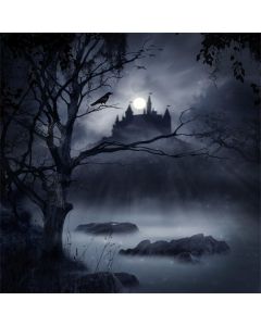 Laeacco Halloween Theme Backdrop 8x8ft Vinyl Photography Background Ghastly Moonlight Foggy Wood Creepy River Haunted Castle Decayed Tree Cobweb Scene Trick Or Treat Party Poster Baby Shoot
