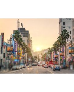 Laeacco 7x5ft Los Angeles Boulevard Sunset City Street View Art Backdrop Famous City Street Landscape Background Camera Shooting Busy City Photo Video Studio Props