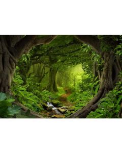 Laeacco 8x6ft Jungle Forest Backdrop Summer Enchanted Rainforest Photography Background Natural Scenery Green Trees Newborn Baby Shower Birthday Party Decor Wedding Photo Kids Adults Portrait Shoot